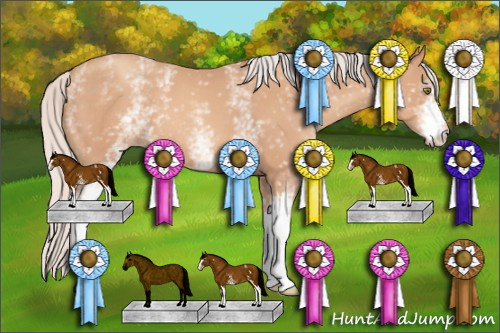 Horse Color: Unknown 