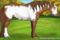 Horse Color:Liver Chestnut Frame 