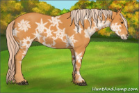 Horse Color:Chocolate Palomino Ice 