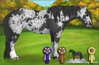 Horse Color:Brown Ice 