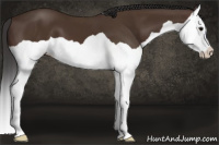 Horse Color:Brown Splash