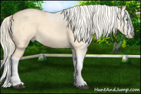 Horse Color:Palomino Roan Dun Splash 