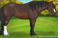 Horse Color:Brown 