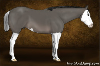 Horse Color:Brown Splash