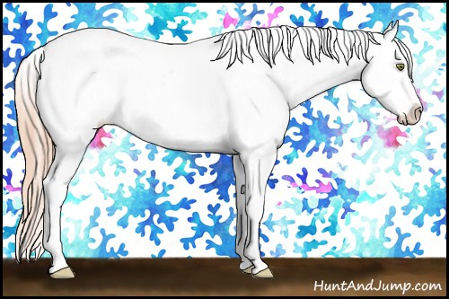 Horse Color: Gold Champagne Dun Blanket 