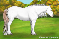 Horse Color:Classic Champagne Roan Splash Tobiano Varnish 