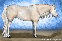 Horse Color:White Spotted Chocolate Palomino Roan Pearl Splash 