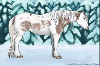 Horse Color:Silver Brown Ice Splash Tobiano Rabicano 