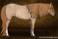 Horse Color:Red Roan Tobiano 