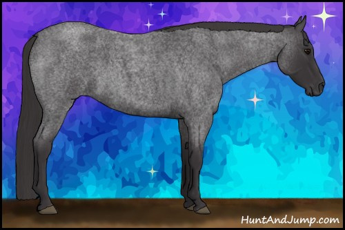 Horse Color: Smoky Blue Roan 
