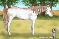 Horse Color:Liver Red Dun Splash Frame Rabicano 