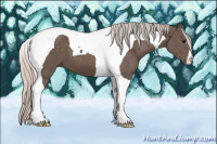 Horse Color:Silver Black Tobiano 