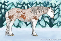 Horse Color:Silver Bay Ice Splash 