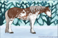 Horse Color:Silver Brown Sabino 