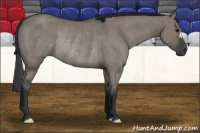 Horse Color:Grullo Rabicano 
