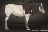 Horse Color:Amber Champagne Dun 