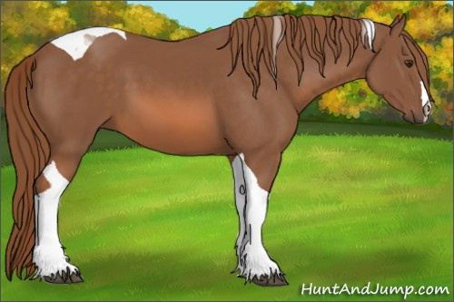 Horse Color: Chestnut Tobiano 