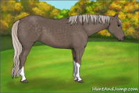 Horse Color:Silver Black Tobiano 