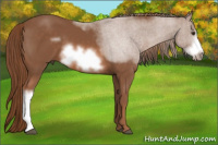 Horse Color:Liver Chestnut Frame 