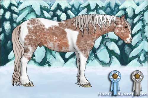 Horse Color: Silver Brown Ice Sabino Tobiano 