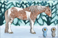 Horse Color:Silver Brown Ice Sabino Tobiano 