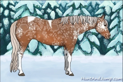 Horse Color: White Spotted Silver Brown Ice Tobiano 