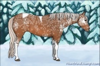 Horse Color:White Spotted Silver Brown Ice Tobiano 