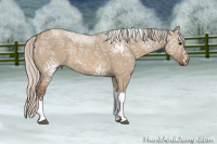 Horse Color:White Spotted Silver Grullo Ice Tobiano