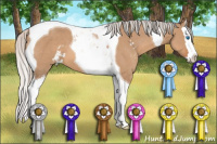 Horse Color:Silver Bay Dun Sabino Splash Tobiano
