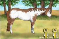 Horse Color:Chestnut Sabino Frame 