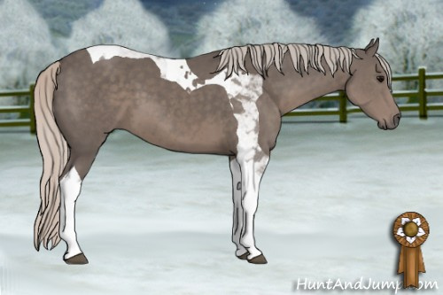 Horse Color: Silver Black Tobiano 