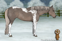 Horse Color:Silver Black Tobiano 