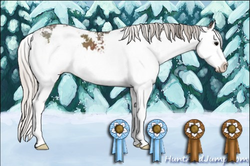 Horse Color: Silver Black Sabino Splash 
