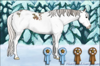 Horse Color:Silver Black Sabino Splash