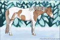 Horse Color:Silver Brown Dun Sabino Tobiano