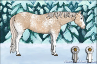 Horse Color:White Spotted Silver Bay Ice Dun Sabino Splash 