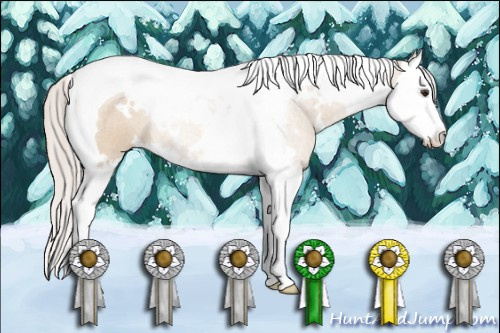 Horse Color: White Spotted Silver Bay Dun Splash Tobiano 