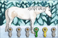 Horse Color:White Spotted Silver Bay Dun Splash Tobiano 
