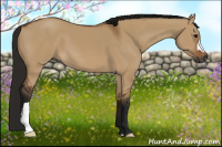 Horse Color:Gray Bay Dun 