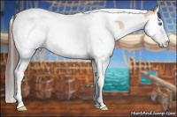 Horse Color:Amber Champagne Dun Splash Tobiano Rabicano