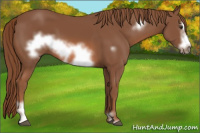 Horse Color:Chestnut Sabino Frame