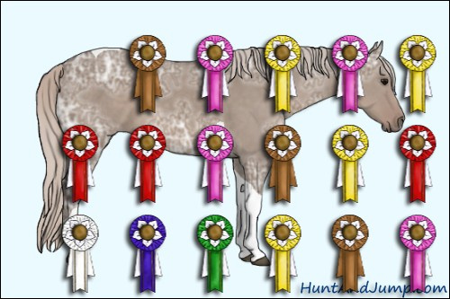 Horse Color: Silver Grullo Ice Tobiano 
