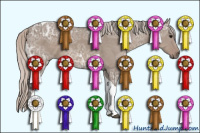 Horse Color:Silver Grullo Ice Tobiano
