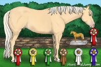 Horse Color:Gold Cream Champagne 