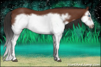 Horse Color:Bay Splash Frame 