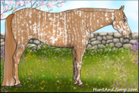 Horse Color:Bay Splash Tobiano Blanket  Brindle
