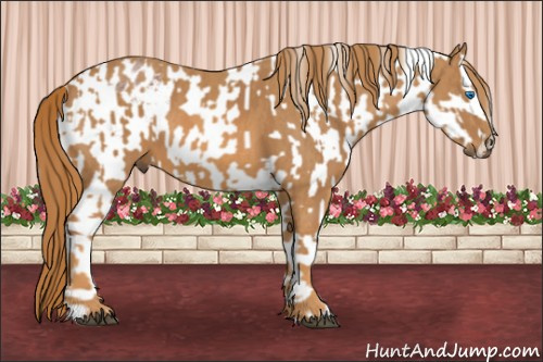 Horse Color: Bay Roan Splash Varnish  Brindle