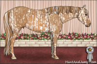 Horse Color:Bay Splash Tobiano Blanket  Brindle