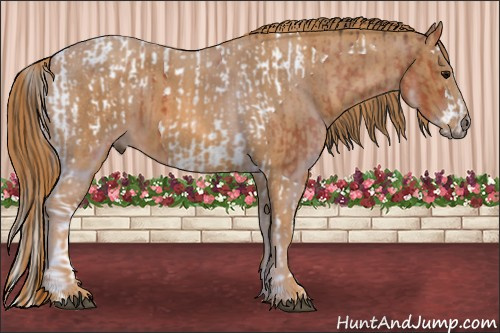 Horse Color: Bay Splash Tobiano Blanket  Brindle