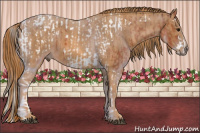 Horse Color:Bay Splash Tobiano Appaloosa Brindle